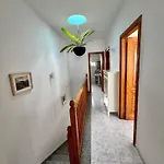 Royal * أرّاثيفي